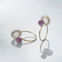 L&Co./エルアンドコー L&Co. K10誕生石イヤリング 2月アメジスト/508165547