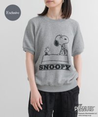 URBAN RESEARCH DOORS/『別注』Sports Wear×DOORS　PEANUTS甘編みスウェットTシャツ/508165636