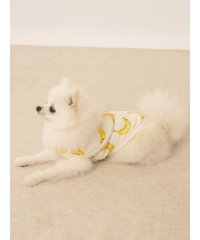 GELATO PIQUE CAT＆DOG/【CAT&DOG】【接触冷感】フルーツ柄プルオーバー/508174662