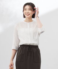 J.PRESS LADIES（LARGE SIZE）/【洗える】シアーピンストライプ ブラウスライク カットソー/508179816