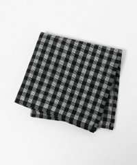 BEAUTY&YOUTH UNITED ARROWS/グラフチェック ガーゼ タオル ハンカチ/508165285