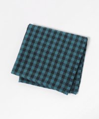 BEAUTY&YOUTH UNITED ARROWS/グラフチェック ガーゼ タオル ハンカチ/508165285