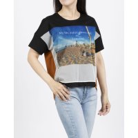 BRODIAEA/ブローディア BRODIAEA オーガンジー転写プリント 配色切り替え半袖Tシャツ/508187367