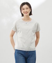 J.PRESS LADIES（LARGE SIZE）/【洗える】シアーエンブロイダリー カットソー/508190104