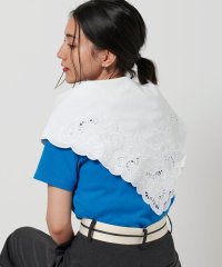 BEAUTY&YOUTH UNITED ARROWS/【別注】＜ne Quittez pas＞レース ストール/508149554