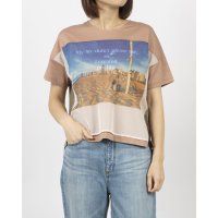 BRODIAEA/ブローディア BRODIAEA オーガンジー転写プリント 配色切り替え半袖Tシャツ/508187367