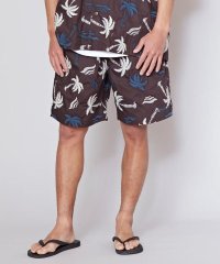 KAHIKO/カヒコ Kahiko ガルシアメンズハーフパンツ【SURF&Palms】/508192567