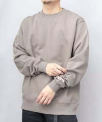 Goodwear/グッドウェア GOODWEAR USAコットン 裏毛（裏パイル） クルーネック スウェットトレーナー レギュラーシルエット/508193870