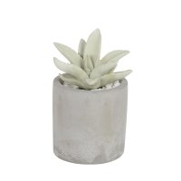 DULTON/ダルトン DULTON ALOE FRAGRANCE DIFFUSER 【返品不可商品】/508200131