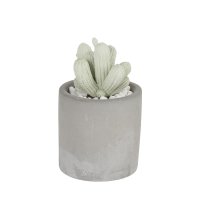 DULTON/ダルトン DULTON ALOE FRAGRANCE DIFFUSER 【返品不可商品】/508200131