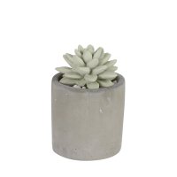 DULTON/ダルトン DULTON ALOE FRAGRANCE DIFFUSER 【返品不可商品】/508200131