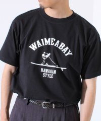 GLOSTER/【GLOSTER/グロスター】ハワイヌ ワイメアベイ クルーネック プリントTシャツ/508181632