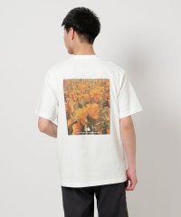 green label relaxing/＜THE NORTH FACE＞フラッシュドライ ピクセル プラント コットン Tシャツ/508192099