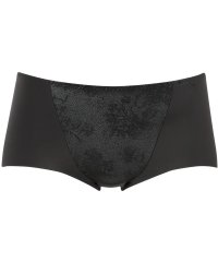 Wing/ウイング Wing ショーツ KB2873とペア 【夏のうすかるブラ】 はきこみ丈ふつう【返品不可商品】/508202407