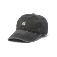 BEN DAVIS/ベンデイビス BEN DAVIS キャップ メンズ レディース 帽子 ブランド UV UVカット おしゃれ シンプル かっこいい かわいい WASHED CAN/508203204