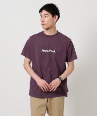 green label relaxing/＜Snow Peak＞Unwind Tシャツ/508196139