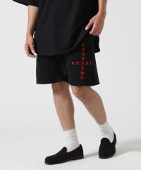RoyalFlash/CTLS/シーティーエルエス/USUAL SHORTS/508213415