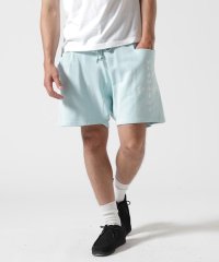 RoyalFlash/CTLS/シーティーエルエス/USUAL SHORTS/508213415
