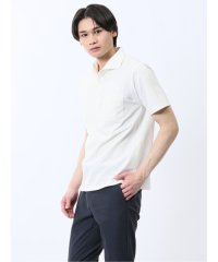 TAKA-Q/カットサッカー ワイドカラー半袖ポロシャツ  メンズ ポロシャツ カットソー ワイシャツ カジュアル インナー ビジネス ギフト プレゼント ゴルフ 通勤 仕事/508213791