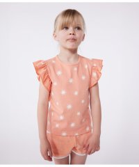 PETIT BATEAU/半袖Ｔシャツ/508216994