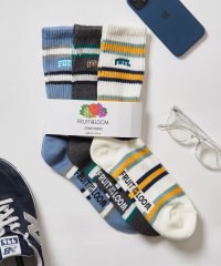 FRUIT OF THE LOOM/フルーツオブザルーム FRUIT OF THE LOOM 3Pボーダー刺繍ソックス 81009300/508217192