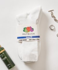 FRUIT OF THE LOOM/フルーツオブザルーム FRUIT OF THE LOOM 3P DadSocks 81009400/508217193