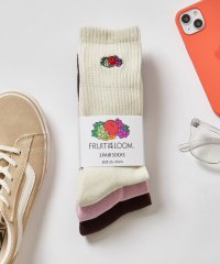 FRUIT OF THE LOOM/フルーツオブザルーム FRUIT OF THE LOOM 3Pゆるリッチェル刺繍ソックス 81008600/508217198