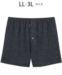 BROS by WACOALMEN/ブロス バイ ワコールメン BROS by WACOAL MEN トランクス ニット素材 なめらかな肌ざわり 前開き【返品不可商品】/508218168
