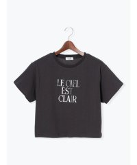 Te chichi TERRASSE/【接触冷感】箔プリントクロップドTシャツ/508218792