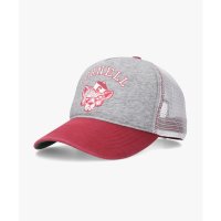 OTHERS/アザー OTHERS Cornell SWEAT MESH WASHED CAP/508219179