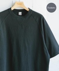 URBAN RESEARCH DOORS/『別注』SCREEN STARS×DOORS　スウェット ショートスリーブ Tシャツ/508220360