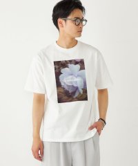 SHIPS Colors  MEN/SHIPS Colors:フォト プリント Tシャツ/508220548