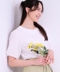 SHOO・LA・RUE　DRESKIP/シューラルー／ドレスキップ SHOO・LA・RUE/DRESKIP 【シューアイス】袖シアーバルーントップス/508222293