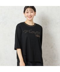 MISSEL/【洗える】Plage刺繍Tシャツ/508222825