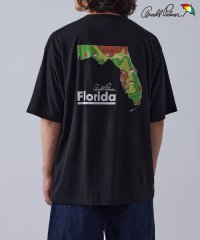 JUNRed/【ARNOLD PALMER × j.n.r.d】別注/フロリダTシャツ/508222915