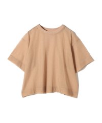 SHIPS Colors WOMEN/SHIPS Colors:〈手洗い可能〉シアー ニット TEE/508222969