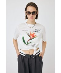 moussy/ASYMMETRY フラワー TEE/508224024