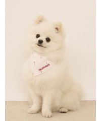 GELATO PIQUE CAT＆DOG/【CAT&DOG】アイス柄保冷剤入れバンダナ/508231804