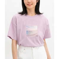 Honeys/ハニーズ Honeys フォトプリントTシャツ トップス Tシャツ 半袖Tシャツ カットソー 半袖 コットン 綿 UVカット フォトプリント USAコットン レ/508236571