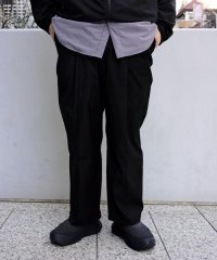 BEAVER/B omnivore/ビーオムニボー  TR 2TACK PANTS/508238355
