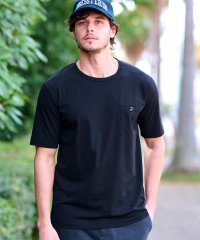 DRESSTERIOR/ベーシックTシャツ/508239723