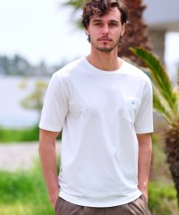 DRESSTERIOR/ベーシックTシャツ/508239723