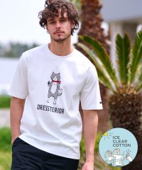 DRESSTERIOR/【接触冷感／抗菌防臭／消臭】ICE CLEAR COTTON キャットTシャツ/508239724
