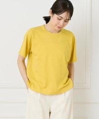 INED/イネド INED 《大きいサイズ》Tシャツ風プルオーバーニット《WEB限定》/508240220