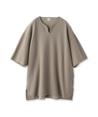 DRESSTERIOR/blurhms（ブラームス）Rough＆Smooth Thermal Over－Neck｜カットソー/508241363