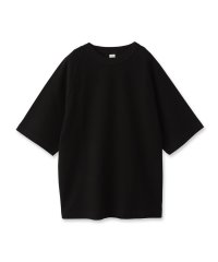 DRESSTERIOR/blurhms（ブラームス）Rough＆Smooth Thermal Raglan Tee｜カットソー/508241365