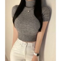 Lace Ladies/レースレディース Lace Ladies ハイネック クロップド リブ 半袖 ニット プルオーバー/508241545