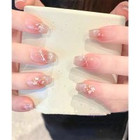 Lace Ladies/レースレディース Lace Ladies シェル ラメ グラデーション スクエアオフ ネイルチップ【返品不可商品】/508241711