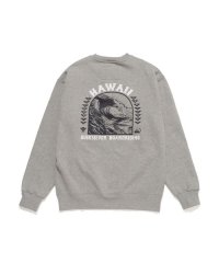 QUIKSILVER/クイックシルバー QUIKSILVER NATURAL RESOURCES S.C/508247772