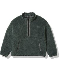 THE NORTH FACE/ザ・ノース・フェイス THE NORTH FACE Sweet Water Pullover Bio (スウィートウォータープルオーバーバイオ)/508249066